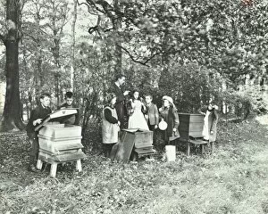 Bee Hive Gallery: Children feeding bees for the winter, Shrewsbury House Open Air School, London, 1909