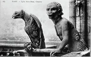 1900 Prints: Chimeres (Gargoyles), Eglise Notre Dame, Chimeres, 1900. Creator: Unknown
