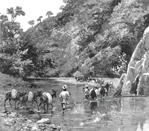 Burmese Prints: With the Chin-Lushai Expeditionary Force; A Mule Convoy crossing the Loung-Gut-Choung Stream