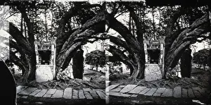 Underneath Prints: China, 1869, (1981). Creator: Unknown