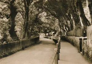Chine Avenue, Shanklin, I. W. c1920. Creator: Unknown