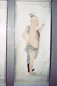 Acupuncture Collection: Chinese Acupuncture Chart