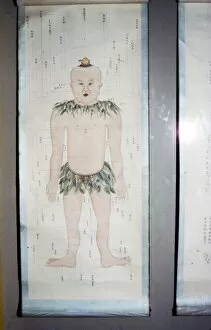 Chinese Acupuncture Chart, Front View