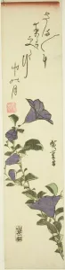 Tanzaku Prints: Chinese Bell Flowers, c. 1830s. Creator: Ando Hiroshige
