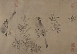 Blossom Prints: Chinese Bulbuls on Flowering Cherry-Apple. Creator: Unknown