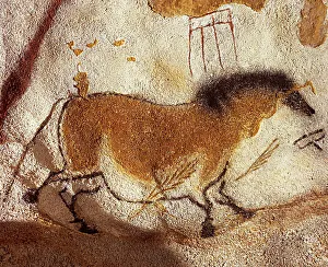 Charcoal Prints: Chinese horse. Caves painting of Lascaux