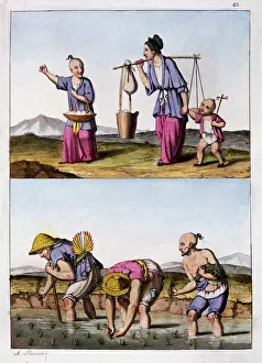 Rice Paddy Prints: Two Chinese scenes, c1830