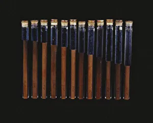 Chinese twelve-tone pitch pipes (from the tomb of Xin Zhui in Mawangdui), ca 160 BC