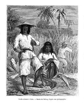 Chinese workers, Cuba, 19th century. Artist: Pelcoq