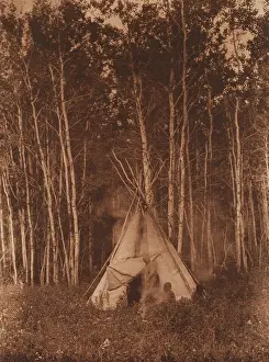 Curtis Prints: A Chipewyan Tipi among the Aspens, 1926. Creator: Edward Sheriff Curtis