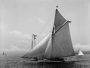 Chispa, 1892 June 14. Creator: Johns Johnston