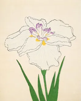 Clump Prints: Cho-Hiyen, No. 91, 1890, (colour woodblock print)