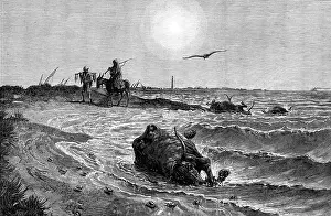 Epidemic Prints: The Cholera in Egypt: its source and cause - scene on the shore at Damietta