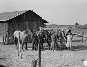 Chris Adolf, his team, and six of his... near Wapato, Yakima Valley, Washington, 1939. Creator: Dorothea Lange