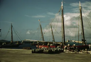 Wharf Gallery: Christiansted, Saint Croix, Virgin Islands, 1941 or 1942. Creator: Jack Delano