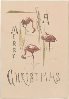 Hoytema Theo Van Prints: Christmas card with three flamingos, c.1878-c.1917. Creator: Theo van Hoytema