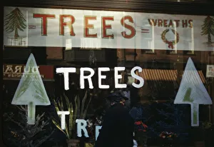 Sign Collection: Christmas trees and wreaths in store window display, between 1941 and 1942. Creator: Unknown