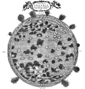 Jesuit Prints: Christopher Scheiners illustration of his idea of the surface of the sun, 1635