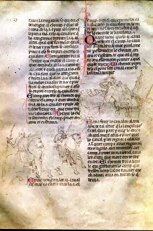 Bernat Gallery: Chronic or Llibre del Rey en Pere e dels seus antecessors passats …(Book of the king Peter)