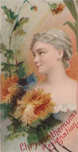 Duke W Sons Co Prints: Chrysanthemum: Resignation, from the series Floral Beauties and Language of Flowers (N75