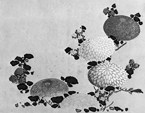 Chrysanthemums, 19th century. Creator: Hokusai School
