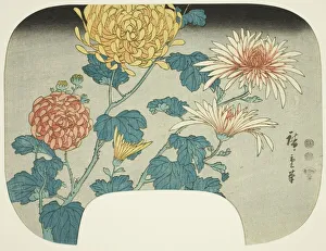 Uchiwa E Prints: Chrysanthemums, c. 1840s. Creator: Ando Hiroshige