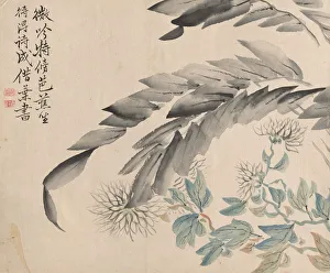 1801 1854 Prints: Chrysanthemums and Leaves of a Mulberry Tree