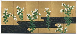 Chrysanthemums by a Stream, late 1700s-early 1800s. Creator: Ogata Korin (Japanese