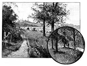 Georg Meisenbach Prints: Churchyard Bottom Wood, Highgate
