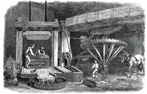 Making Prints: Cider-Making in Devonshire - Pound-House - the Mill and Press - Piling The Mock