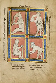 Imaginary Prints: Cinomologus; Anthropophagus; Himantopode; Artabatite; De Natura Avium