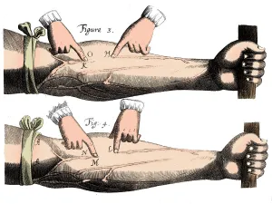 Circulation of the blood, 1628