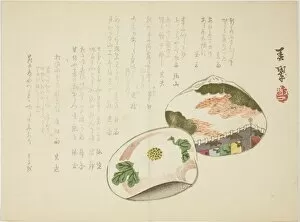 Shells Gallery: Clam Shells, 1860s. Creator: Yabu Chosui