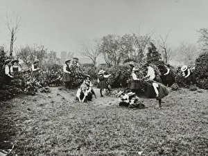 A class from Fulham County Secondary School having a nature lesson, London, 1908