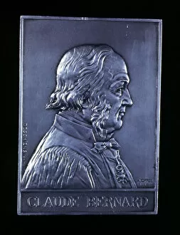 Centenary Gallery: Claude Bernard, 19th century French physiologist, 1913