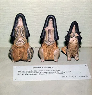 Three Clay Female Fertility figures from Caraja Tribe, Brazil showing Steatopygia Three Clay Female Fertility figures from Caraja Tribe, Brazil showing Steatopygia
