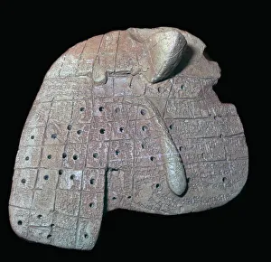 Clay model of a sheeps liver, Old Babylonian, c1900-1600 BC. Probably from Sippar, southern Iraq Clay model of a sheeps liver, Old Babylonian, c1900-1600 BC. Probably from Sippar, southern Iraq