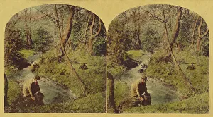 London Stereoscopic Photographic Co Prints: Where the clear brook doth o'er the pebbles play