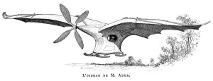 Clement Prints: Clement Aders flying bird Eole