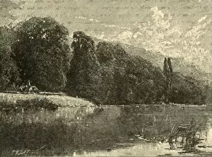 Cliefden Woods, 1898. Creator: Unknown