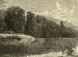 Buckinghamshire Prints: Cliefden Woods, 1898. Creator: Unknown