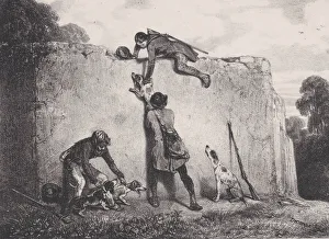 Images Dated 2021 January: 19 Jan 2021 Collection