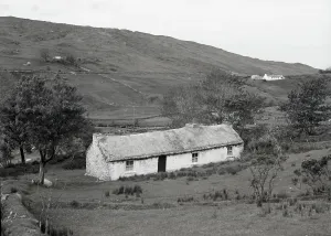 Irish Prints: Between Cloghan and Boyeeghter Bay