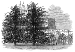 Cloisters Prints: In the Cloisters, Salisbury, 1872. Creator: Unknown