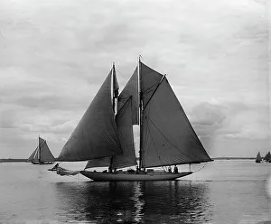 Clorita, 1899 June 17. Creator: Johns Johnston