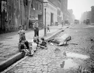 Dead Animal Prints: The close of a career in New York, between 1900 and 1906. Creator: Byron Company