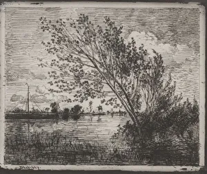 A Cluster of Alders, original impression 1862, printed in 1921 A Cluster of Alders, original impression 1862, printed in 1921