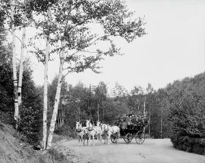 Sightseeing Prints: Coaching party on Boulevard Drive, Duluth, Minn. between 1900 and 1906. Creator: Unknown