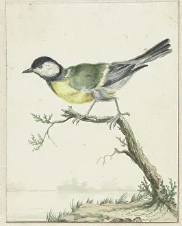 Coal tit, 1650-1719. Creator: Jan Weenix