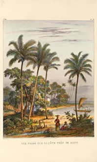New World Prints: The coast near Bahia. From Voyage pittoresque dans le Brésil